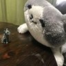 にゃん次郎's profile picture
