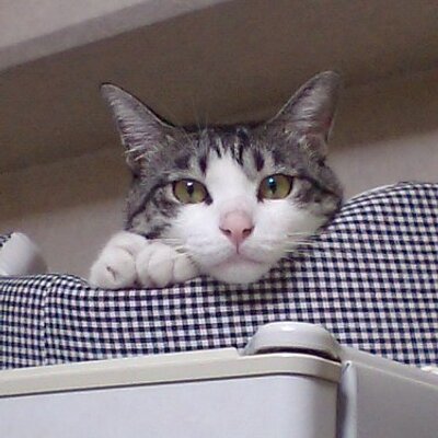 nofun1978's profile picture