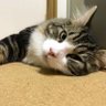 りょう 的头像