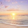 hilal_almanthari's profile picture