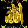 Profilbild von mohamed hassan