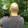 Profilbild von Владимир Щербин