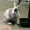 vegeshop profil fotoğrafı