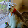 Фото профиля Vero Sáenz