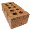 Paul Collins's profile picture