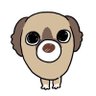 犬山ななみ's profile picture
