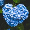 kiy♡mii🌷 profil fotoğrafı