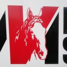 morimoto_stable's profile picture