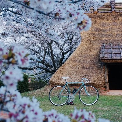 onimasa1111's profile picture