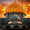 Фото профиля nasreddine mahmoud