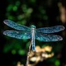 Фото профиля Diana Gggg