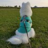 サモエド犬ルークとTM NETWORKとCHとどんぶらこ〜(*´ω`*)ルークママこと、ひさやん。's profile picture