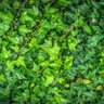 Фото профиля Berith