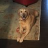 MBFisher's profile picture