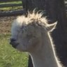 seu_taka's profile picture