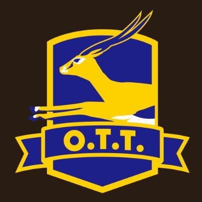 OtonaTT's profile picture