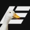 ducc 的头像