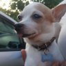 Фото профиля Denisse