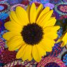 なつみ🌻 的头像