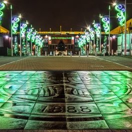 The Celtic Way's profile picture