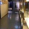 鄭雍倩's profile picture