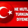 Фото профиля Reşit