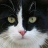 Андрій's profile picture