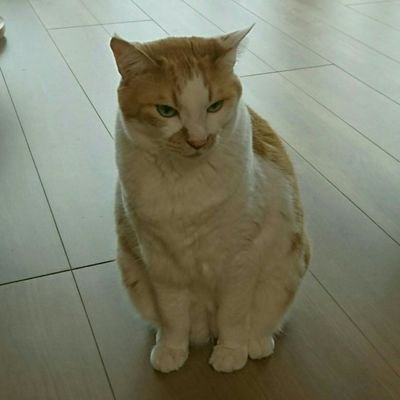 taa_mgm_taa's profile picture