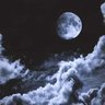 Lunaria's profile picture