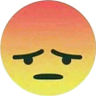 animal's profile picture