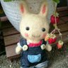rabbit_usata profil fotoğrafı