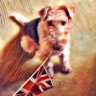 Bertie Pickle Does British History 🇬🇧 profil fotoğrafı