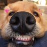 หลุมหลบภัยของชุ้น's profile picture