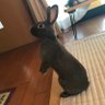 たかみ 的头像