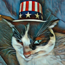 Franklin MacDougal's profile picture