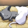 Useless-Wyvern's profile picture