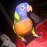 adriana's profile picture