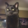 blade's profile picture