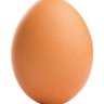 Kul Hakkı's profile picture