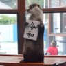 Фото профиля イニ(蓼食うイニ)