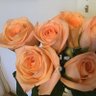 Фото профиля M.M.W