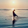 🐬💍 profil fotoğrafı