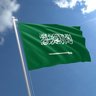 Saudi.IN.Australia's profile picture
