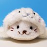 すいすいふ~+ profil fotoğrafı