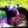 Max's profile picture