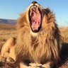 ABOSULTAN profil fotoğrafı
