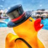 Drpavito 的头像