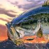 Фото профиля Bucketmouth