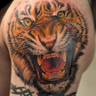 Tiger Rose's profile picture