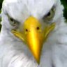 Profilbild von SFFK